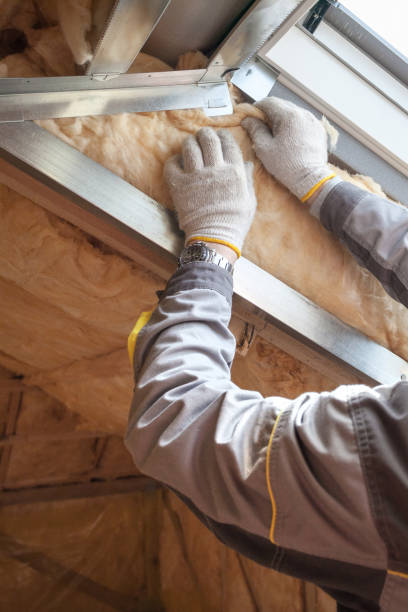 Best Spray Foam Insulation in Roaming Shores, OH