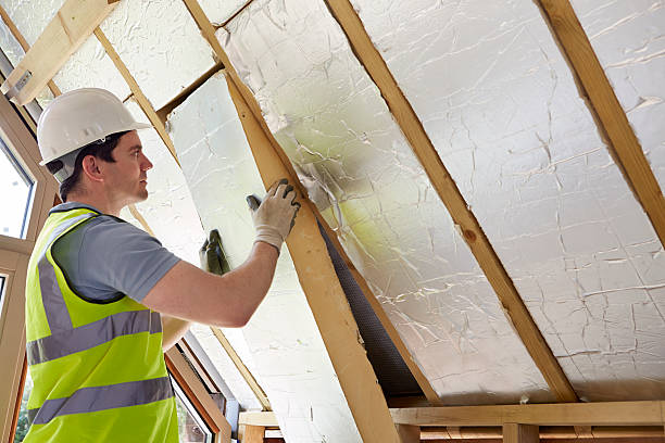 Best DIY Insulation Kits and Guidance in Roaming Shores, OH