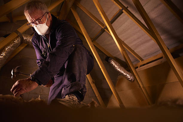 Best Cellulose Insulation in Roaming Shores, OH